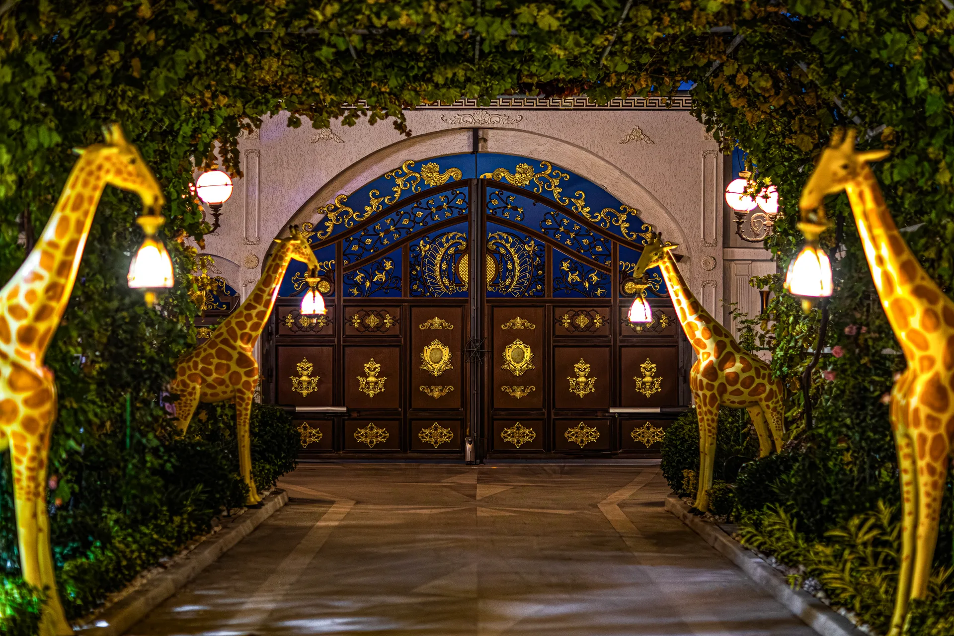 Golden Lagoon gallery 3