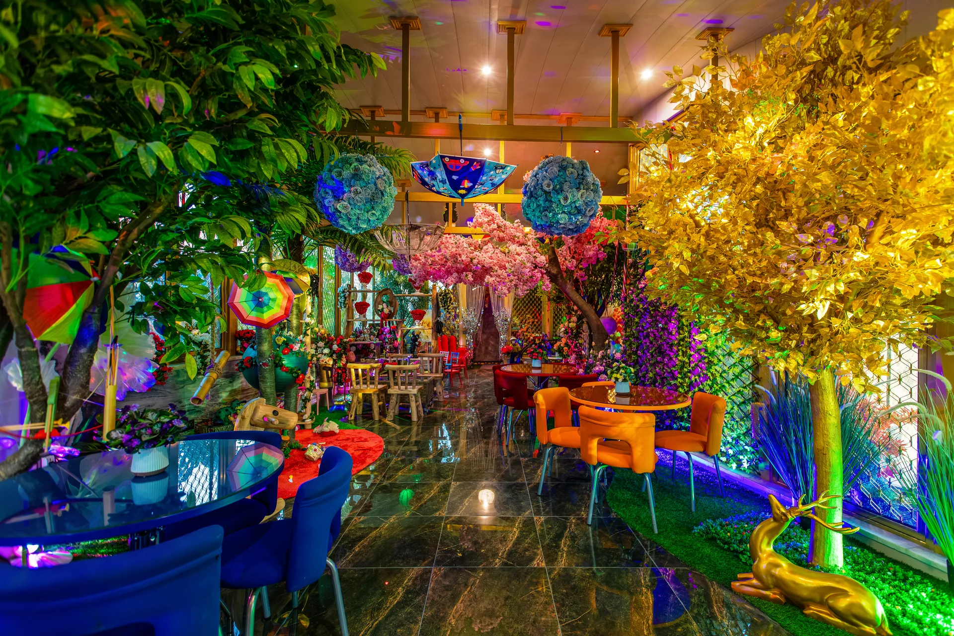 Golden Lagoon gallery 1